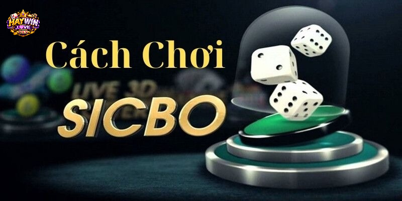 Đôi nét về sicbo haywin