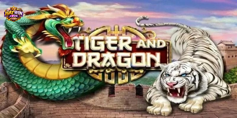 Hướng dẫn cách tham gia chơi rồng hổ haywin