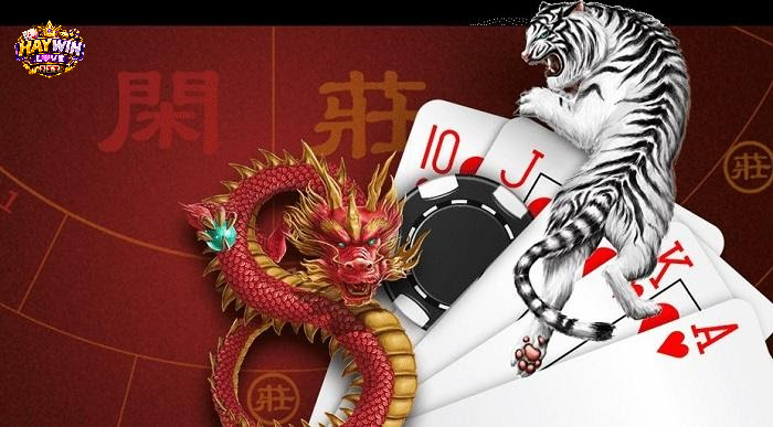 Lưu ý khi chơi rồng hổ tại haywin